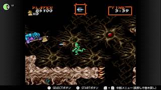 こっそりゲーム配信