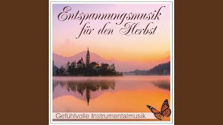 Nebel über den Feldern