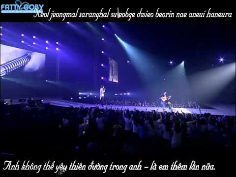 [Vietsub + Kara] Soul - Heechul's solo [DVD Super Junior Super Show 2]