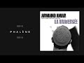 Armand Amar - Phalène