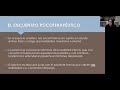 webinar «el encuentro psicoterapéutico un enfoque psicodinámico»