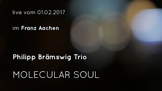 Philipp Brämswig Trio MOLECULAR SOUL im Franz Aachen