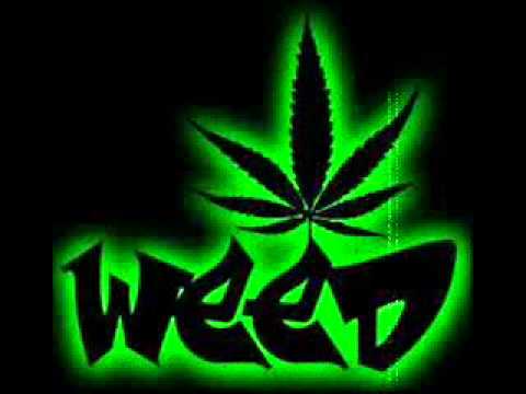 Warp Addicts - Anything Warp Bassline