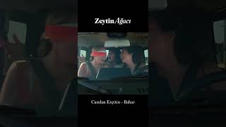 Candan Erçetin - Bahar  #zeytinağacı  #netflix