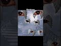 Weirdcore Or Dreamcore Shorts Dreamcore Weirdcore