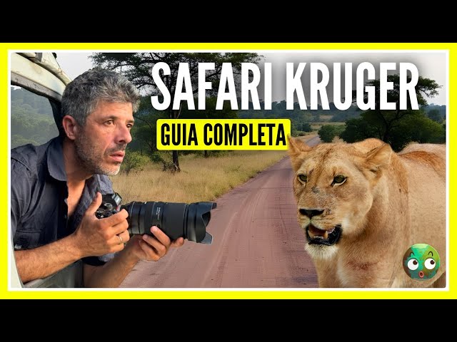 Vídeo relacionado con Roberts Bird guide: Kruger National Park and adjacent Lowveld