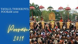 Temple video