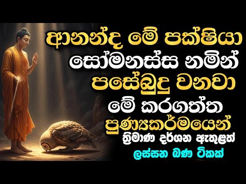 ආනන්ද මේ පක්ෂියා තව කල්ප ලක්ෂයකින් සෝමනස්ස නමින් පසේ බුදු වෙනවා | bana 2025 | Darma Deshana | 3D 