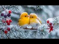 Winter Birds Singing Piano Music For Stress Relief Emotional Healing Calm The Mind ️