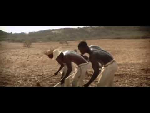 Sklabitut - un klep kòrtiku