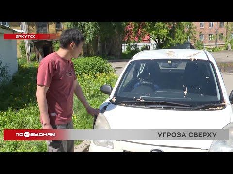 Дерево рухнуло на автомобиль во дворе жилого дома в Иркутске