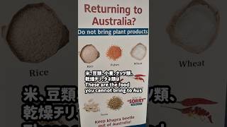 オーストラリア持ち込み禁止の食べ物 メルボルン空港にて You cannot bring these to Australia