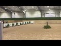 Willow And Caroline WEC Children S Pony Hunters 2 6