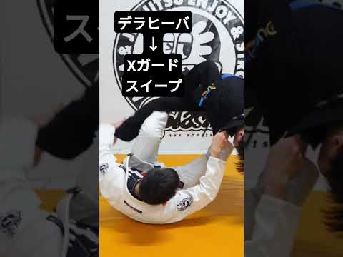 【柔術】デラヒーバガードからXガードに変化してスイープ