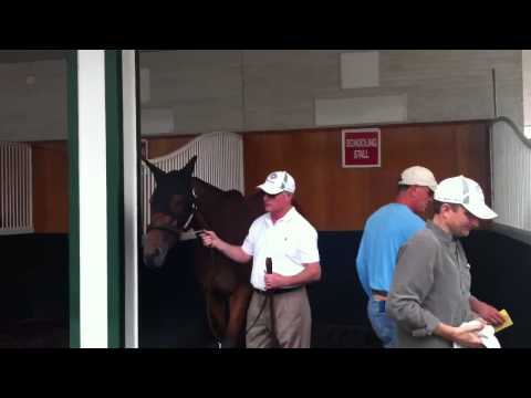 Kentucky Oaks 2013: Beholder Schooling