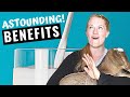 Astounding Benefits Of GOAT Milk Proven Benefits Of Goat Milk Raw Goat Milk Weight Loss Milk