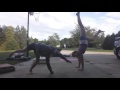How To Get A Backbend In One Day For Beghiners