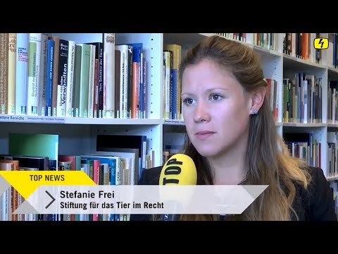 Top News vom 20.10.2017 mit Stefanie Frei