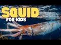 Squid For Kids Learn All About These Inky Sea Creatures