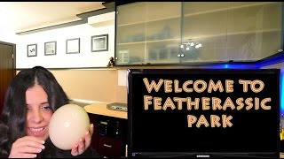 Binaural ASMR Museum Role Play: Natural History and Science