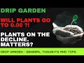 DRIP Garden - Will Plant Price Go To Zero!? - What Happens At $0.00 Plant Price?!