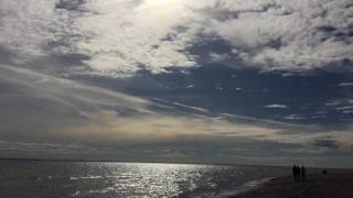 Carter Burwell - The Last Judgement