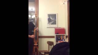 Video thumbnail for CARRUTHERS SUB1 BASS by Evan Parker