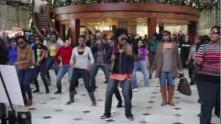 DC-Union Station Flash Mob