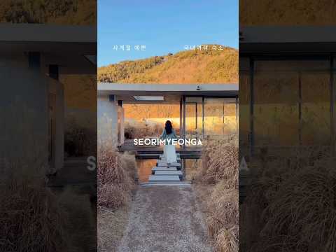 비디오 8