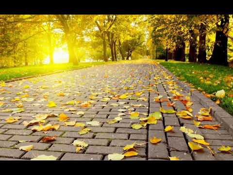 John Dreamer Rise Extended Music