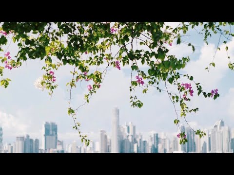 download lagu mp3 mp4 Escape To Panama, download mp3 Escape To Panama free download, download mp3 Escape To Panama