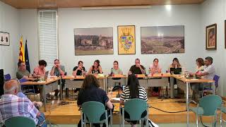 Ple Ordinari 26-05-2026