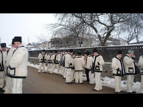 Pensiunea Denisa, Bîrsana, Romania