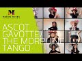 Art Voice Academy - Ascot Gavotte/The Morphine Tango