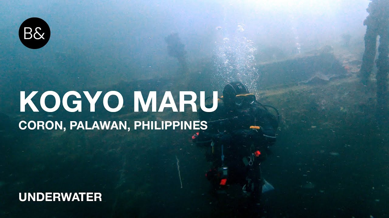 Immerse yourself into captivating highlights of Kogyo Maru diving.