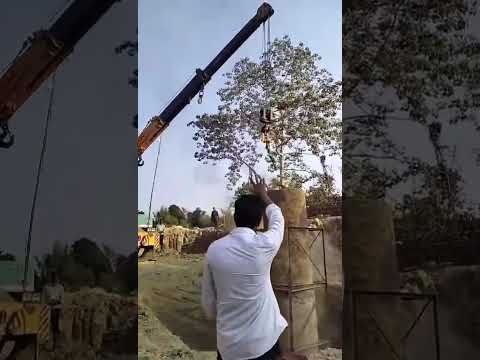 Pile Dynamic Load Testing