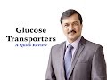 Glucose Transporters GLUTs