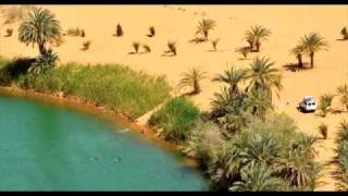 Shawn McDonald- All I Need