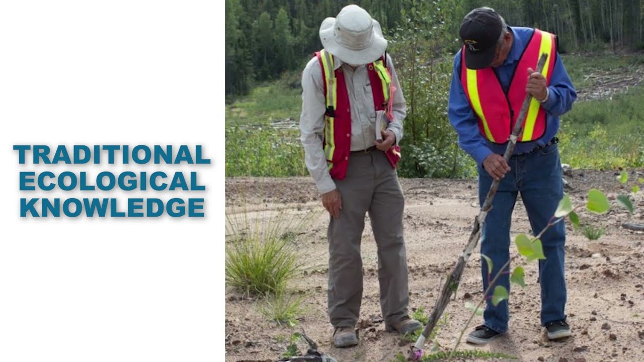 Environmental Data Management Best Practices - An Overview