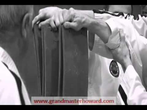 Grandmaster Howards Dojang Cabra