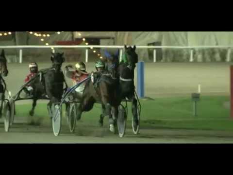 Preis von Basel 2014_Up to win_Dennis von Holdt