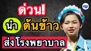 ด่วน! นำต้นข้าวส่ง โรงพยาบาล #ต้นข้าวสุปรียา  #ต้นข้าวดวลเพลงชิงทุน