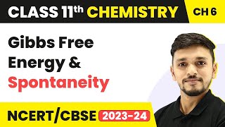 Class 11 Chemistry Chapter 6 | Gibbs Free Energy & Spontaneity - Thermodynamics |Class 11 CBSE/NCERT