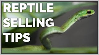What to Know Before Selling Reptiles!