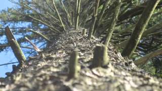 If you knew me better - Head East