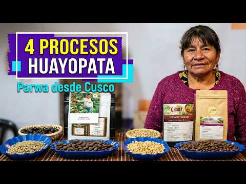 ☕ ¡EL CAFÉ DE CUSCO QUE SORPRENDE! 🌿 Conoce 4 cafés de Huayopata y sus secretos