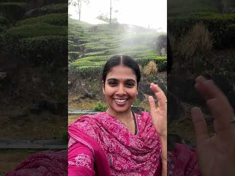 Reel tagged #vlog