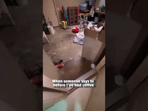 Un mouton hilare panique à l'accueil