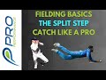 Fielding Basics Split Step Walking In With Bowler