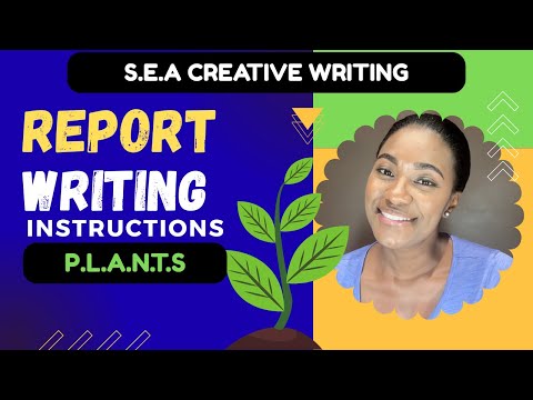 How to Understand SEA REPORT WRITING instructions for S E A Creative Writing